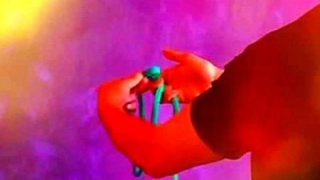 Make the knot dissapear!